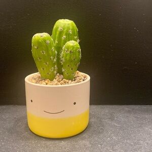 Faux Cactus Planter